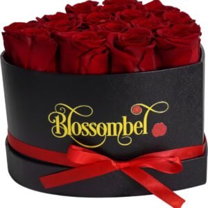 Blossombel - hartvormige doos met 16 houdbare rode rozen voor vrouwen en meiden