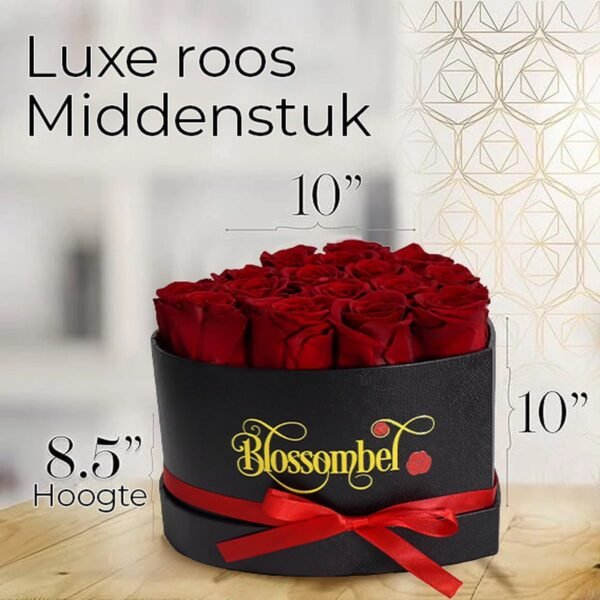 Blossombel - hartvormige doos met 16 houdbare rode rozen voor vrouwen en meiden