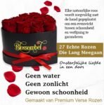 Blossombel - hartvormige doos met 16 houdbare rode rozen voor vrouwen en meiden