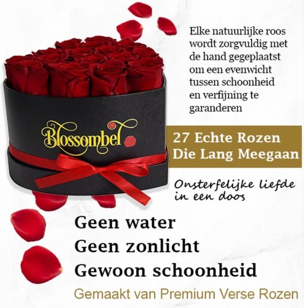 Blossombel - hartvormige doos met 16 houdbare rode rozen voor vrouwen en meiden