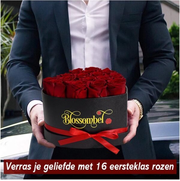 Blossombel - hartvormige doos met 16 houdbare rode rozen voor vrouwen en meiden