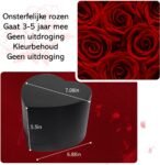 Blossombel - hartvormige doos met 16 houdbare rode rozen voor vrouwen en meiden