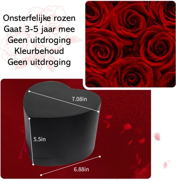 Blossombel - hartvormige doos met 16 houdbare rode rozen voor vrouwen en meiden
